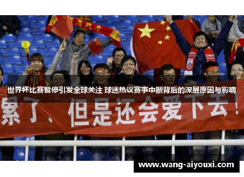 世界杯比赛暂停引发全球关注 球迷热议赛事中断背后的深层原因与影响