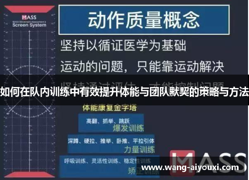如何在队内训练中有效提升体能与团队默契的策略与方法